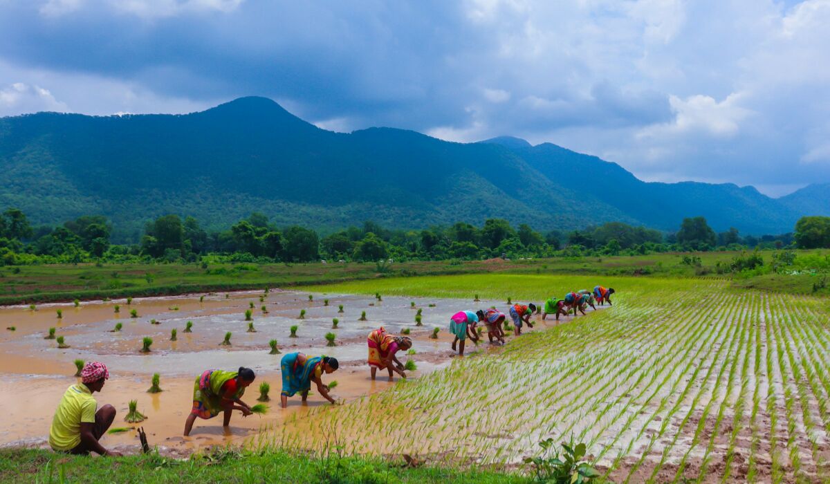 Things to do in odisha