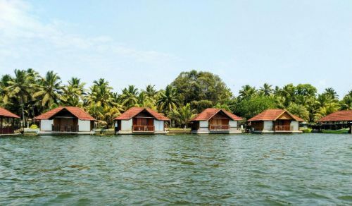 Things To Do In Kerala In December