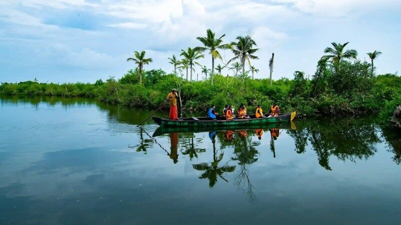 Backwater