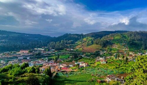 Best Tree Houses Near Ooty
