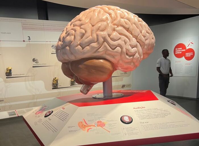 Quirky museums in India including Museum of Word and Cat Museum