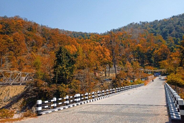 Autumn foliage in India