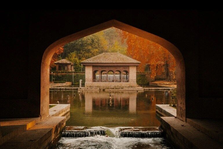 Autumn foliage in India