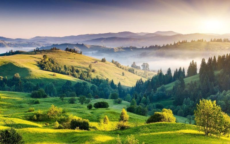 Hill Stations To Visit In Tamil Nadu