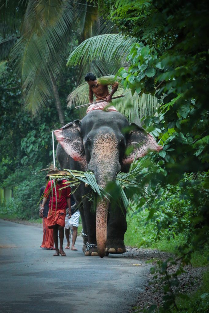 tourist worthy places to visit in Thrissur