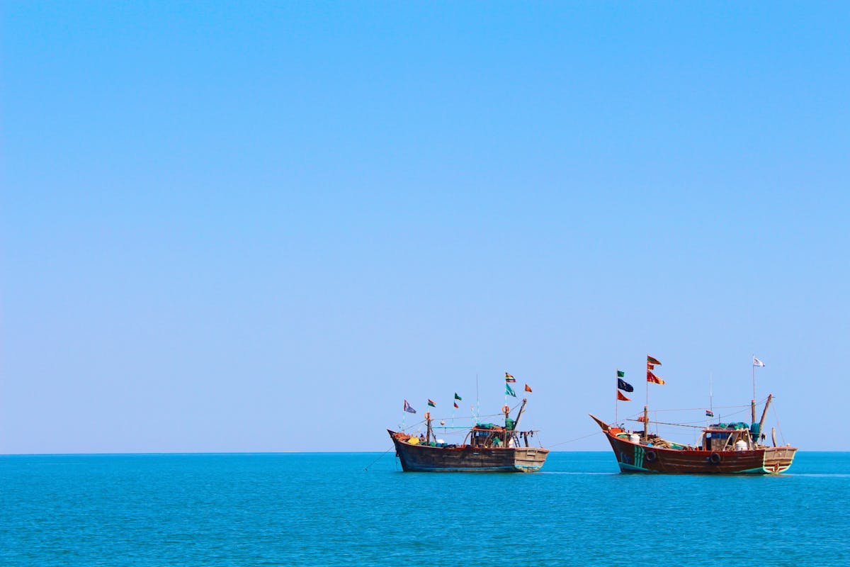 Best Things To Do In Gujarat And Daman & Diu