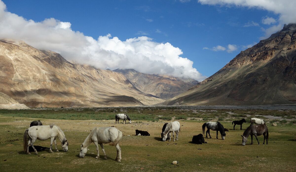 Indian Himalayas
