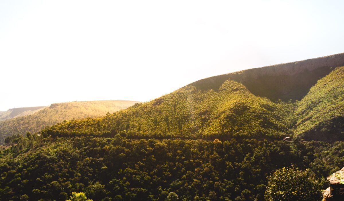 Araku Valley
