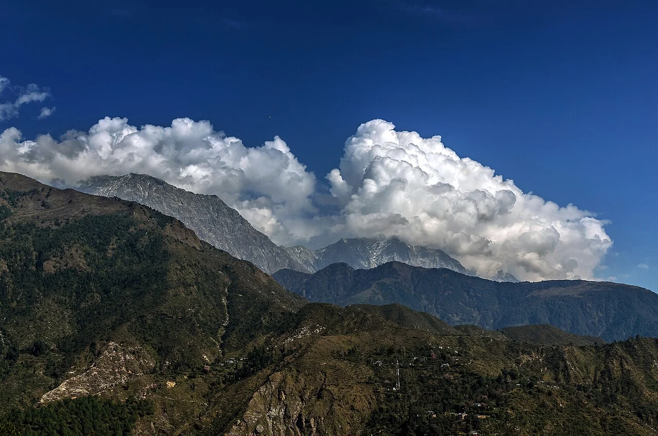 What To Eat In McLeodganj