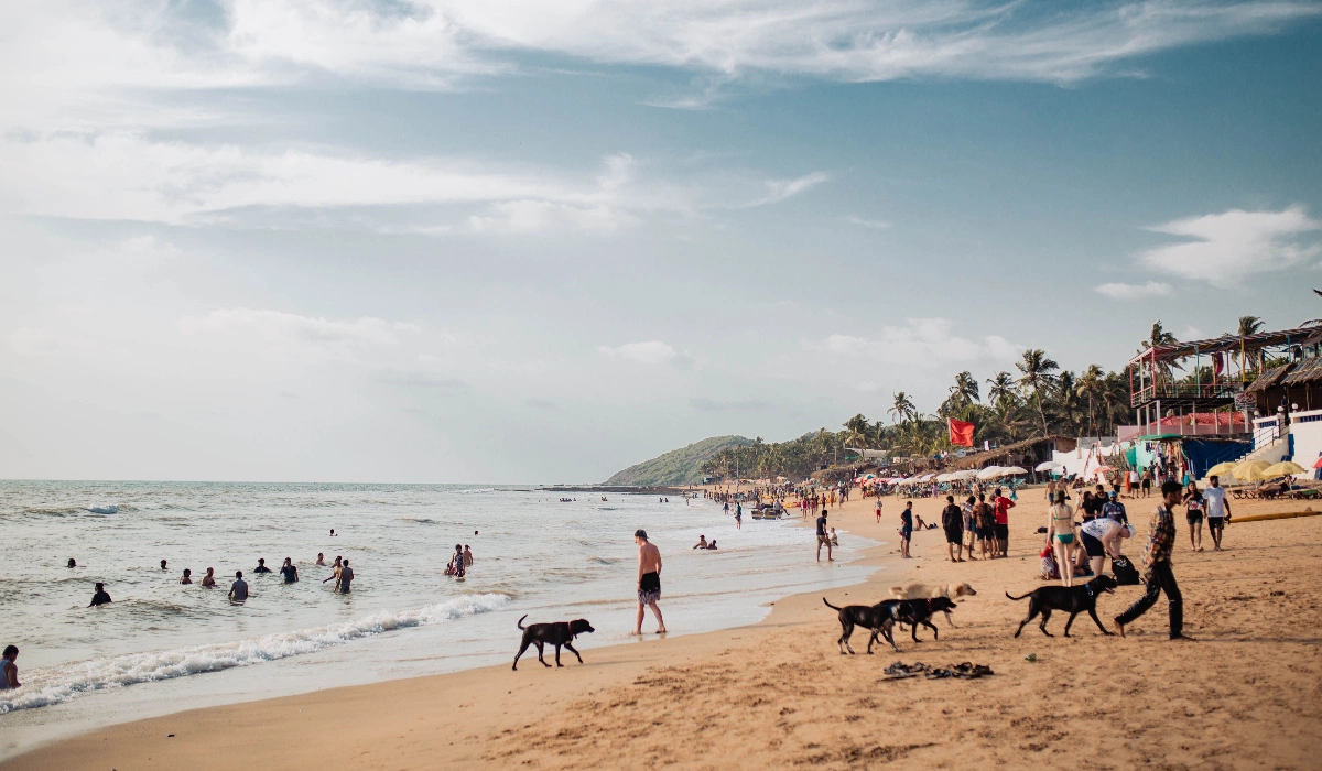 Affordable Stays In South Goa