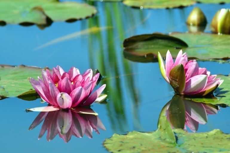 3 day romantic getaway in Kerala