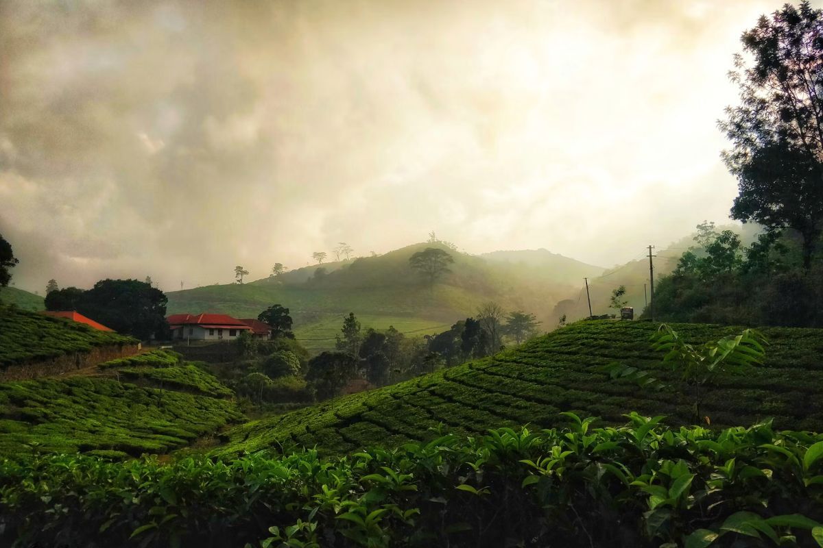 3 day romantic getaway kerala