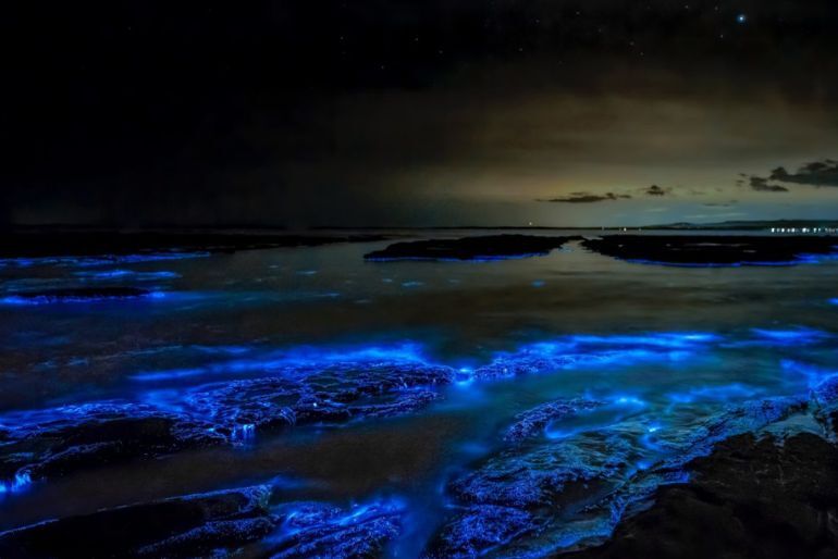 Best Bioluminescent Beaches In India