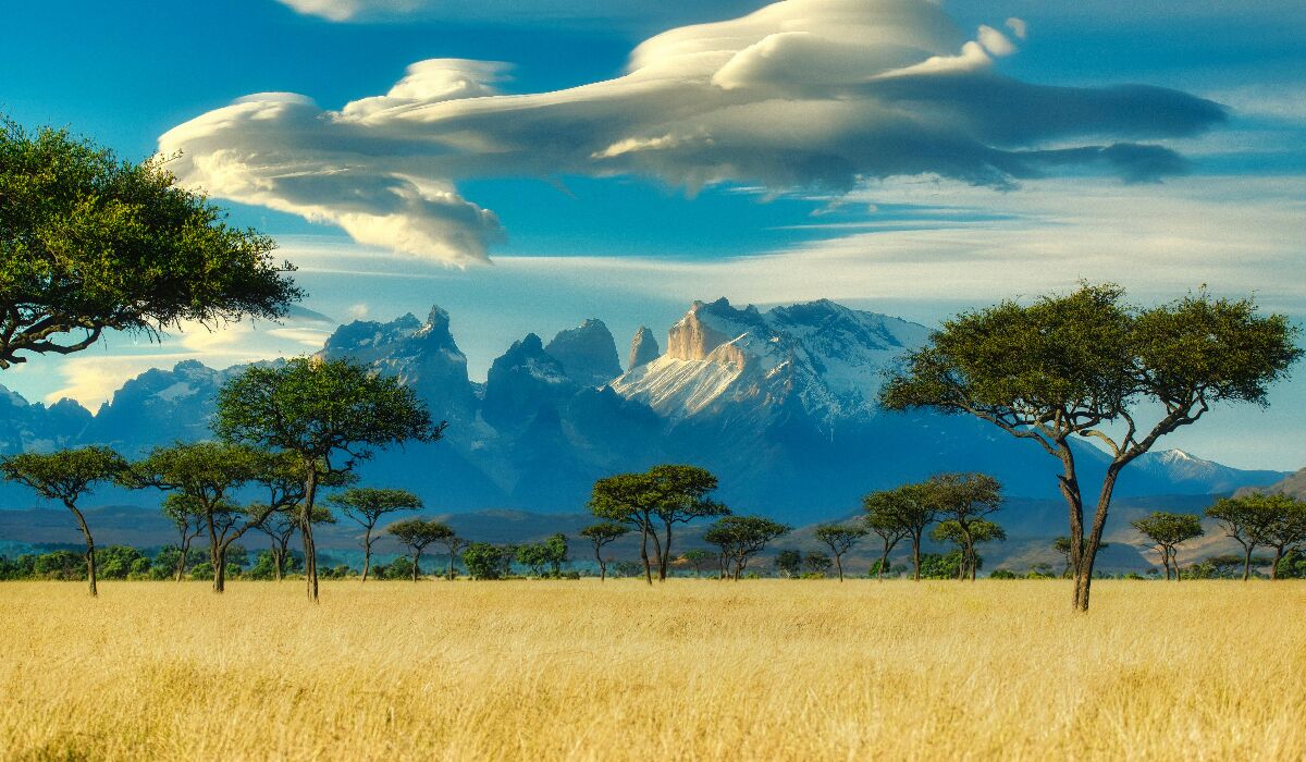 Best safari experiences in Kenya