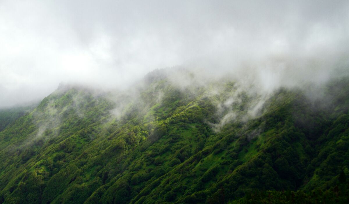 Yeoor Hills
