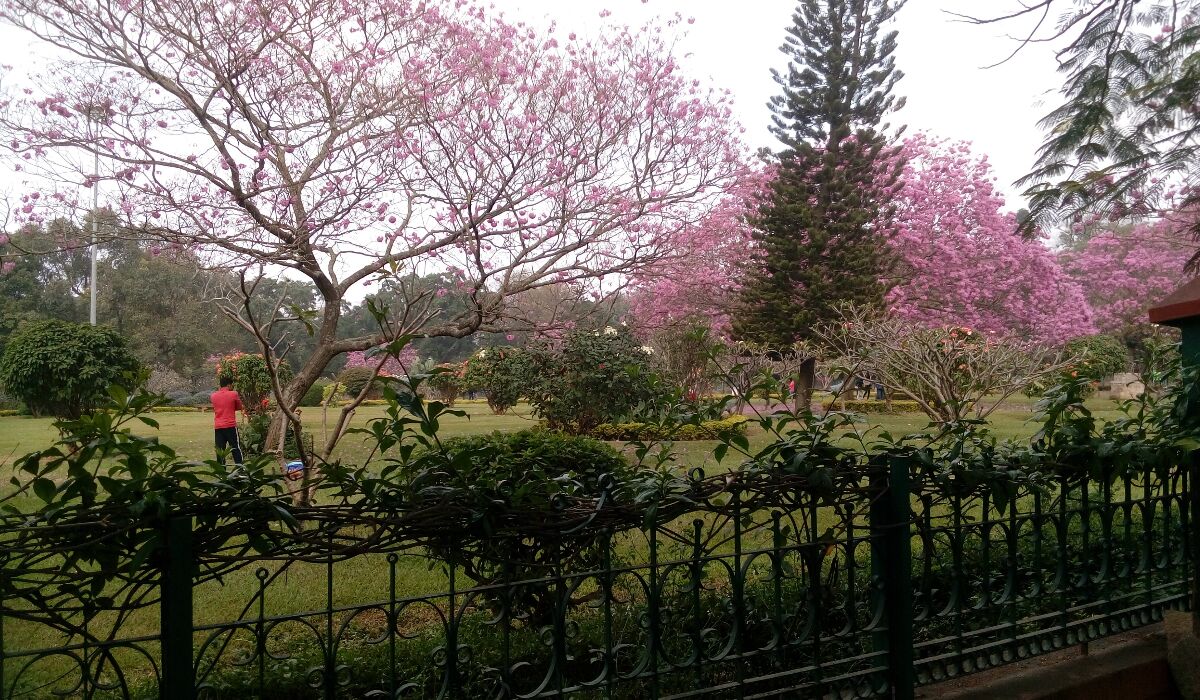 How To Reach Cubbon Park
