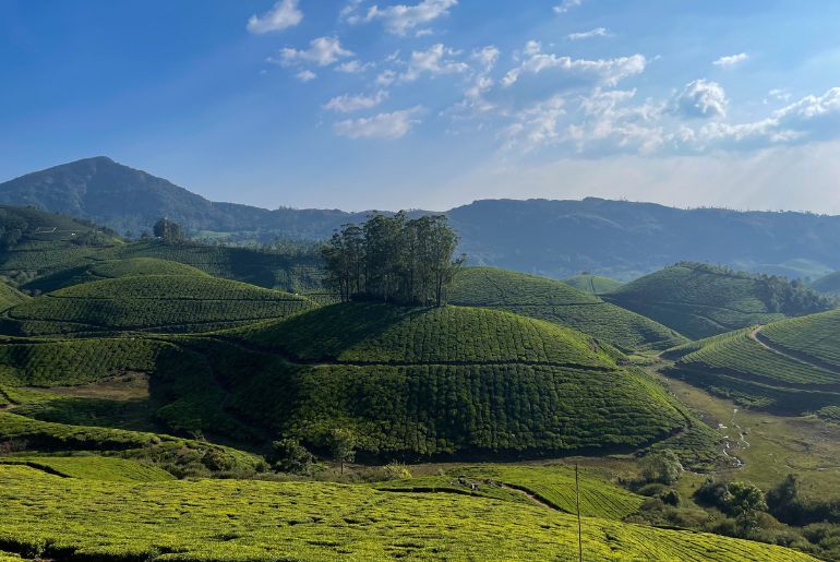 honeymoon destinations in south india