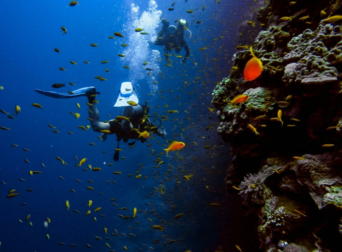 New Dive Sites In Diglipur