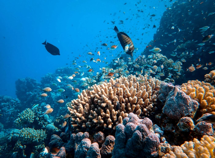 India’s First Underwater Museum