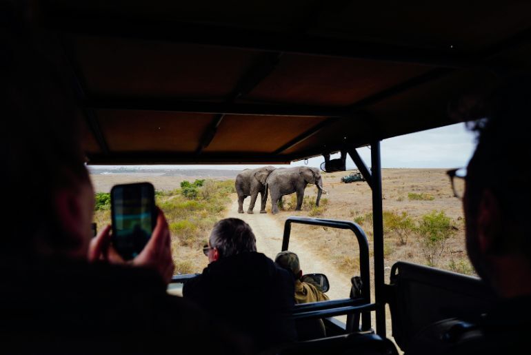 karnataka banned open-jeep safaris