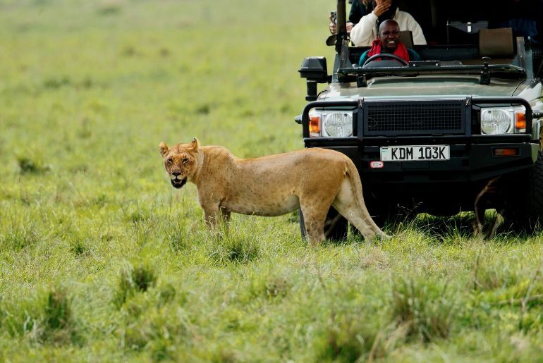 karnataka banned open-jeep safaris