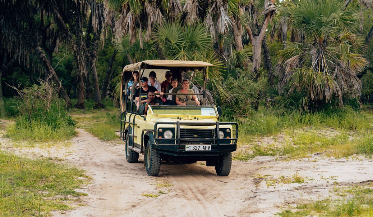 karnataka banned open-jeep safaris