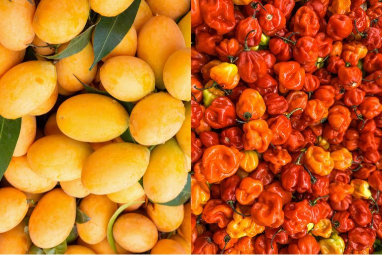 mango-habanero recipes