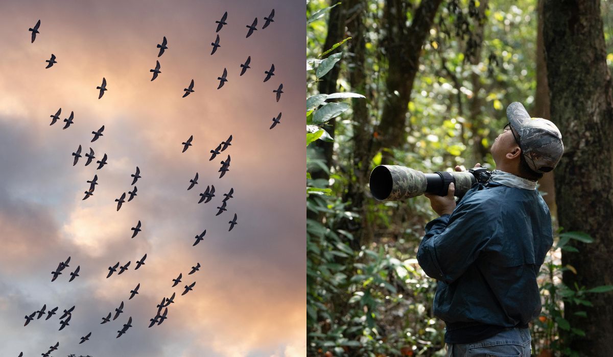 delhi zoo bird walk