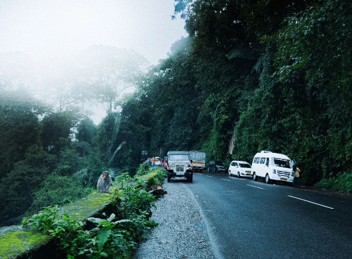 Family-Friendly Places In Wayanad
