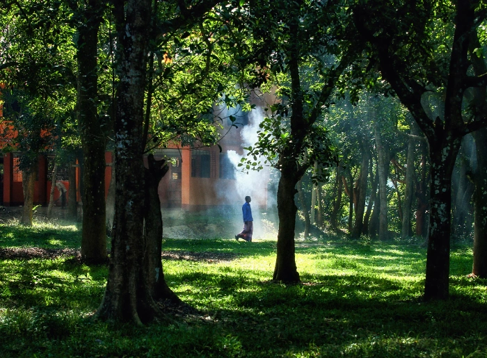 Family-Friendly Places In Wayanad