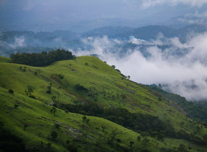 Places To Visit In Wayanad