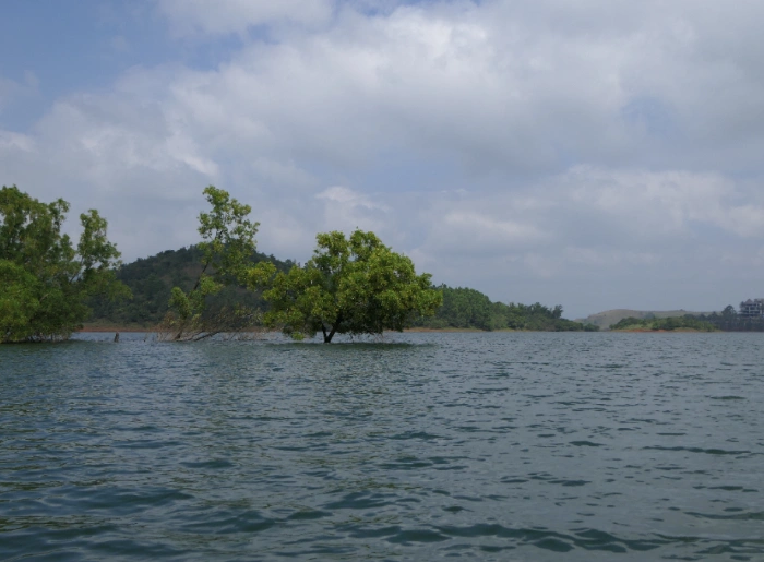 Places To Visit In Wayanad