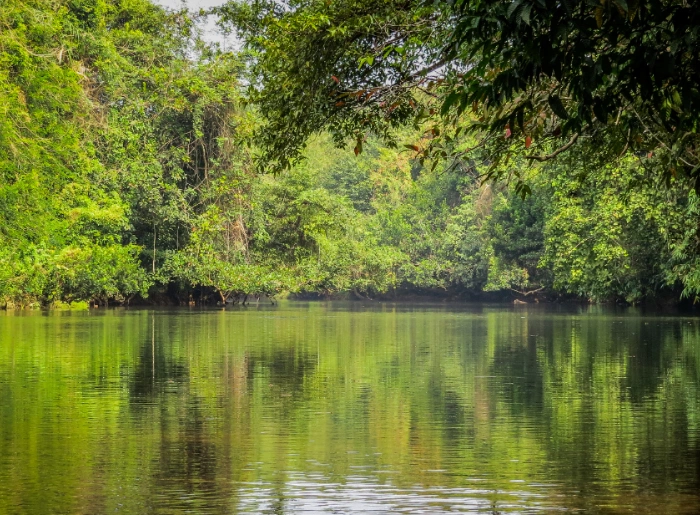 Travel Guide To Pathanamthitta