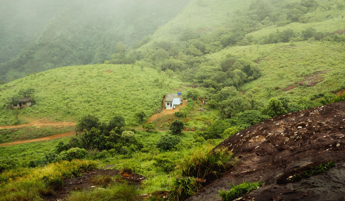 Where To Stay In Wayanad