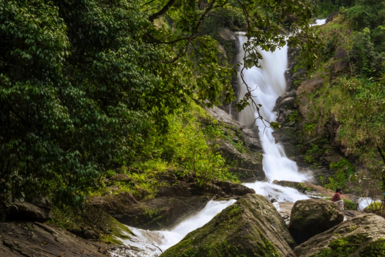Where To Stay In Wayanad