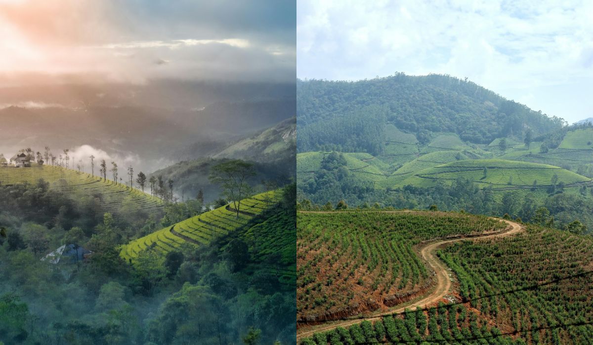 best time visit munnar