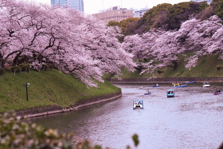 japan budget-friendly indians