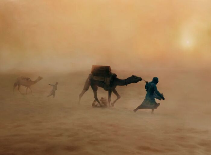 Steve McCurry photographer during an interview about India and photography