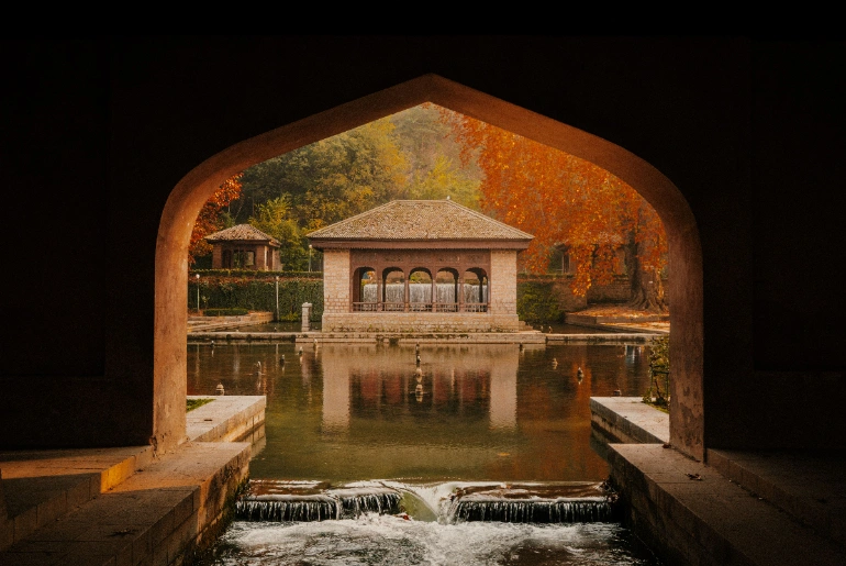 Autumn foliage in India