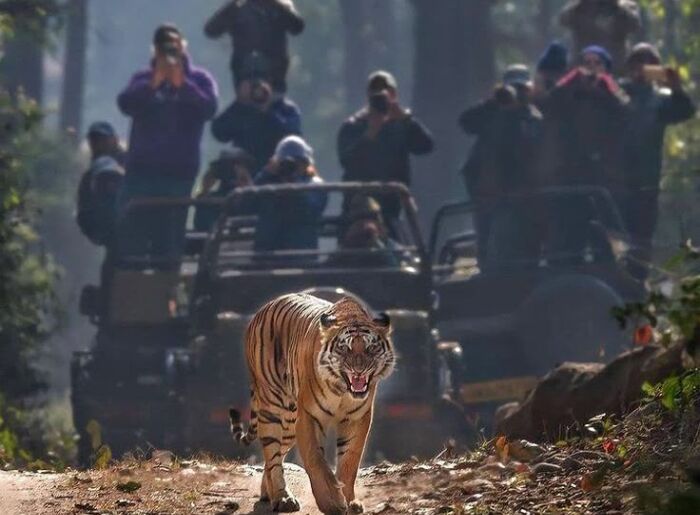 Best places to visit in India in October 2026