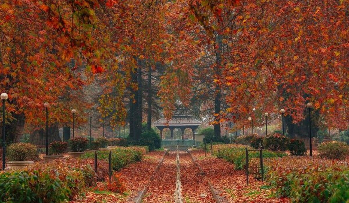 Best places to visit in India in October 2026