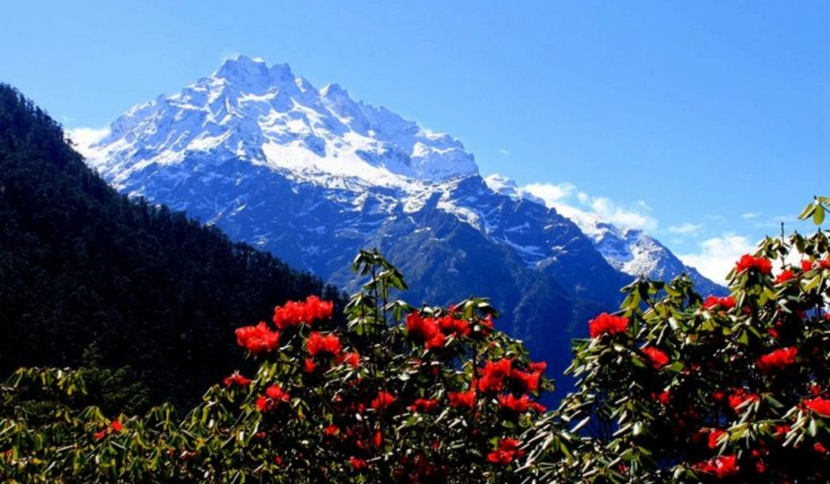 Yumthang Valley in Sikkim