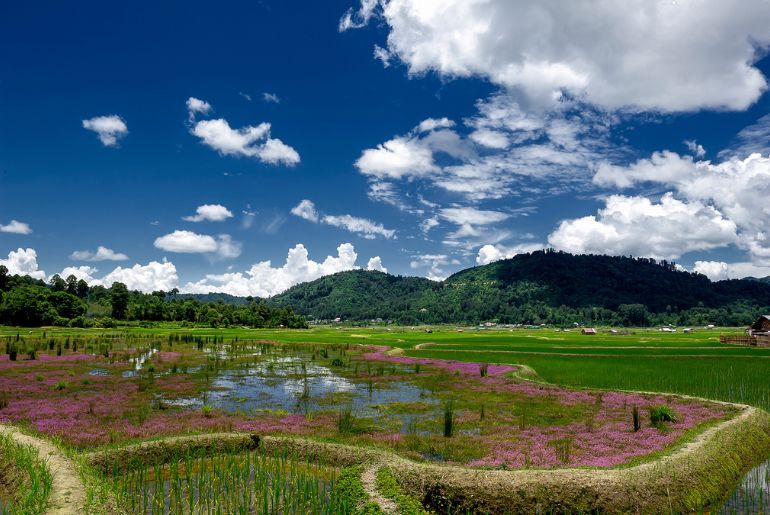 Ziro Festival 2026 tickets and festival venue