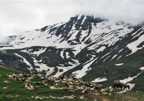 5 Best Snowfall Destinations In Himachal For October And November
