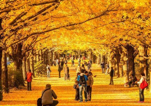 Places to see autumn leaves in October