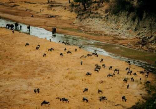 travel tips wildlife sanctuaries india