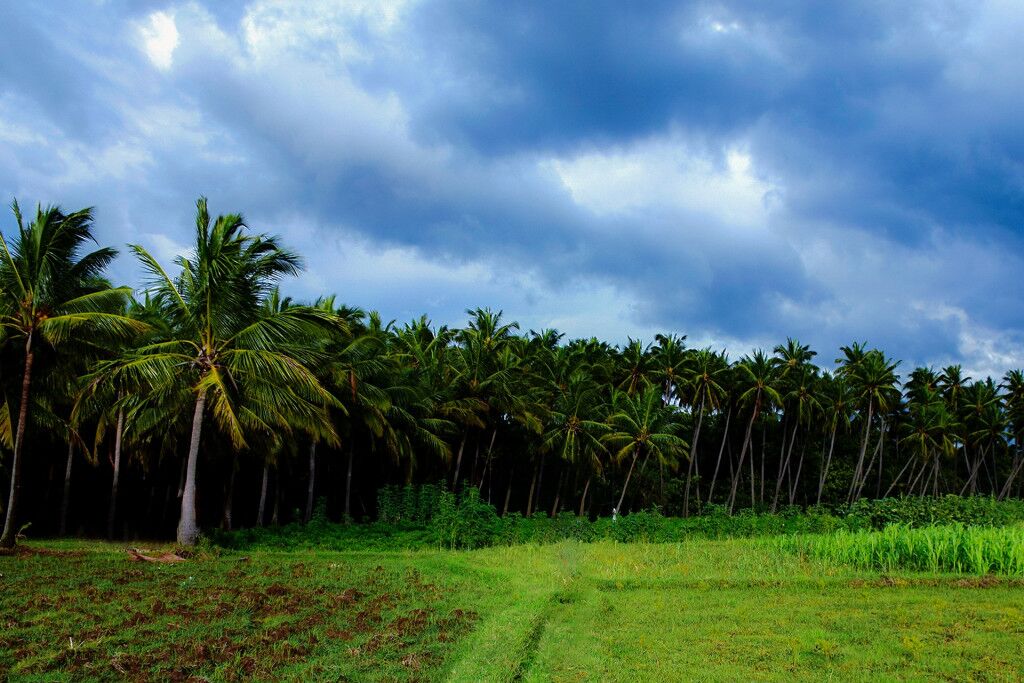 Best Hill Stations In Tamil Nadu For A Break