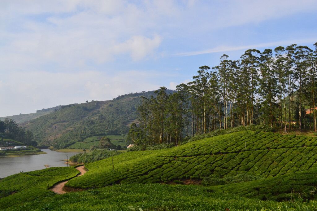 Best Hill Stations In Tamil Nadu For A Break