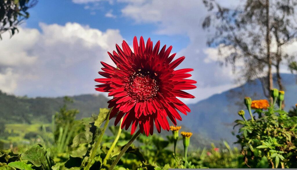 Best Offbeat Villages In Sikkim