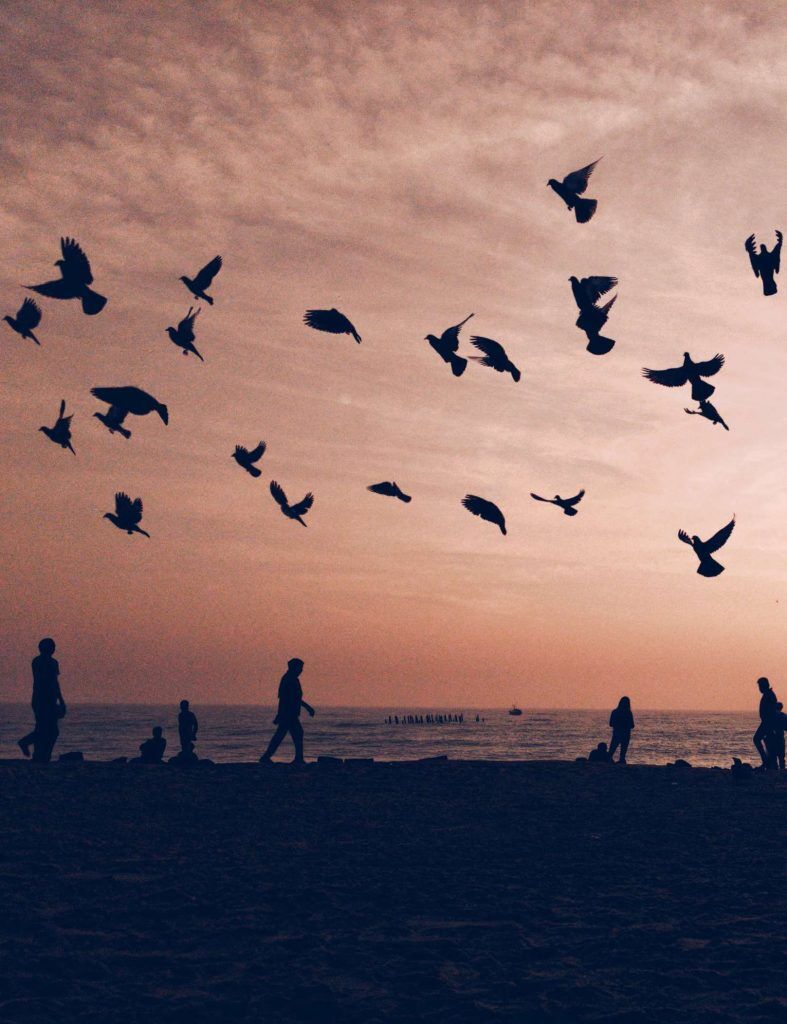 Best Beaches In Pondicherry